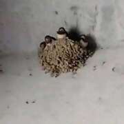 ヒメ日記 2025/07/22 21:46 投稿 りん奥様 人妻倶楽部　日本橋店