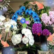 ヒメ日記 2025/07/31 21:56 投稿 りん奥様 人妻倶楽部　日本橋店