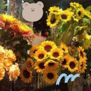 ヒメ日記 2025/08/02 21:56 投稿 りん奥様 人妻倶楽部　日本橋店