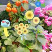 ヒメ日記 2025/08/03 22:06 投稿 りん奥様 人妻倶楽部　日本橋店