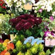 ヒメ日記 2025/08/09 21:46 投稿 りん奥様 人妻倶楽部　日本橋店