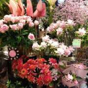 ヒメ日記 2025/08/10 21:46 投稿 りん奥様 人妻倶楽部　日本橋店