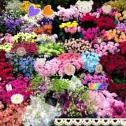 ヒメ日記 2025/08/16 21:56 投稿 りん奥様 人妻倶楽部　日本橋店