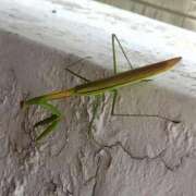 ヒメ日記 2025/08/22 15:36 投稿 りん奥様 人妻倶楽部　日本橋店