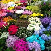 ヒメ日記 2025/08/26 21:46 投稿 りん奥様 人妻倶楽部　日本橋店