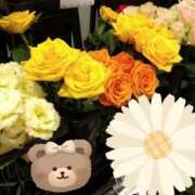 ヒメ日記 2025/09/13 22:06 投稿 りん奥様 人妻倶楽部　日本橋店