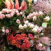 ヒメ日記 2025/09/20 21:56 投稿 りん奥様 人妻倶楽部　日本橋店