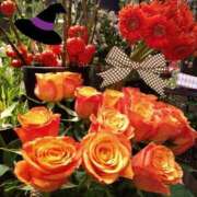 ヒメ日記 2025/09/26 21:47 投稿 りん奥様 人妻倶楽部　日本橋店