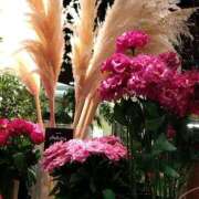 ヒメ日記 2025/10/02 21:46 投稿 りん奥様 人妻倶楽部　日本橋店