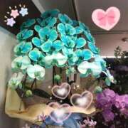 ヒメ日記 2025/10/03 21:50 投稿 りん奥様 人妻倶楽部　日本橋店