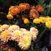 ヒメ日記 2025/10/07 21:46 投稿 りん奥様 人妻倶楽部　日本橋店