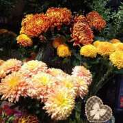 ヒメ日記 2025/10/11 21:46 投稿 りん奥様 人妻倶楽部　日本橋店