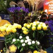 ヒメ日記 2025/10/12 21:56 投稿 りん奥様 人妻倶楽部　日本橋店