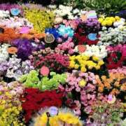 ヒメ日記 2025/11/18 21:56 投稿 りん奥様 人妻倶楽部　日本橋店