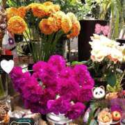 ヒメ日記 2025/11/22 22:26 投稿 りん奥様 人妻倶楽部　日本橋店