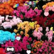 ヒメ日記 2025/12/03 21:56 投稿 りん奥様 人妻倶楽部　日本橋店