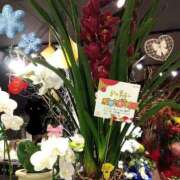 りん奥様 本日も 人妻倶楽部　日本橋店