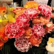 ヒメ日記 2025/12/19 23:06 投稿 りん奥様 人妻倶楽部　日本橋店