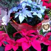 ヒメ日記 2025/12/21 22:16 投稿 りん奥様 人妻倶楽部　日本橋店