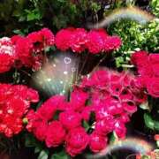 ヒメ日記 2026/01/04 22:16 投稿 りん奥様 人妻倶楽部　日本橋店