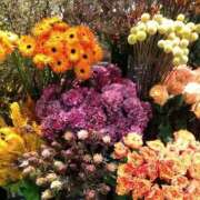 ヒメ日記 2026/01/15 21:56 投稿 りん奥様 人妻倶楽部　日本橋店