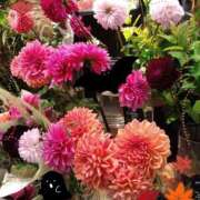 ヒメ日記 2026/01/16 21:36 投稿 りん奥様 人妻倶楽部　日本橋店