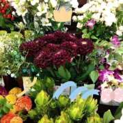 ヒメ日記 2026/01/18 22:16 投稿 りん奥様 人妻倶楽部　日本橋店