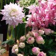 ヒメ日記 2026/01/25 21:46 投稿 りん奥様 人妻倶楽部　日本橋店