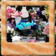 ヒメ日記 2026/02/03 21:56 投稿 りん奥様 人妻倶楽部　日本橋店