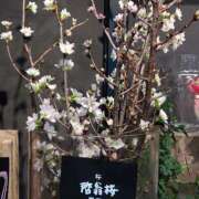 ヒメ日記 2026/02/24 21:46 投稿 りん奥様 人妻倶楽部　日本橋店