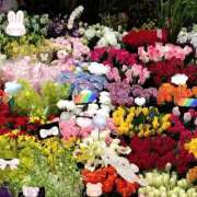 ヒメ日記 2026/02/27 23:26 投稿 りん奥様 人妻倶楽部　日本橋店