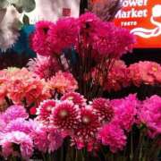 ヒメ日記 2026/02/28 21:56 投稿 りん奥様 人妻倶楽部　日本橋店