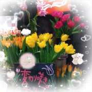 りん奥様 本日も 人妻倶楽部　日本橋店