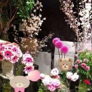 ヒメ日記 2026/03/10 21:46 投稿 りん奥様 人妻倶楽部　日本橋店