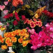 ヒメ日記 2026/03/19 21:36 投稿 りん奥様 人妻倶楽部　日本橋店