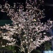 ヒメ日記 2026/03/28 21:46 投稿 りん奥様 人妻倶楽部　日本橋店