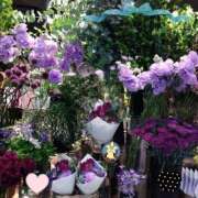 ヒメ日記 2026/04/05 21:46 投稿 りん奥様 人妻倶楽部　日本橋店