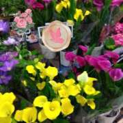 ヒメ日記 2026/04/07 21:46 投稿 りん奥様 人妻倶楽部　日本橋店