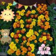 ヒメ日記 2026/04/12 21:56 投稿 りん奥様 人妻倶楽部　日本橋店