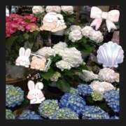 ヒメ日記 2026/04/15 21:56 投稿 りん奥様 人妻倶楽部　日本橋店