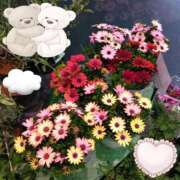 ヒメ日記 2026/04/22 21:46 投稿 りん奥様 人妻倶楽部　日本橋店