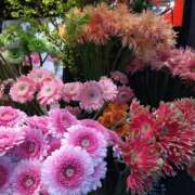 ヒメ日記 2026/04/25 21:46 投稿 りん奥様 人妻倶楽部　日本橋店