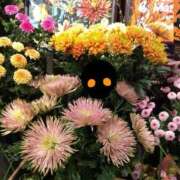 ヒメ日記 2026/05/10 22:16 投稿 りん奥様 人妻倶楽部　日本橋店