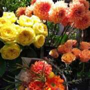 ヒメ日記 2026/05/21 21:36 投稿 りん奥様 人妻倶楽部　日本橋店