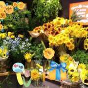 ヒメ日記 2026/07/15 21:46 投稿 りん奥様 人妻倶楽部　日本橋店