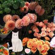 ヒメ日記 2026/10/03 21:46 投稿 りん奥様 人妻倶楽部　日本橋店