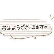 ヒメ日記 2024/09/06 06:45 投稿 すみれ 横浜おかあさん