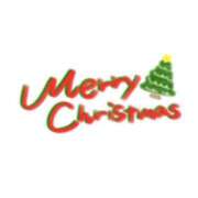 ヒメ日記 2024/12/25 06:45 投稿 すみれ 横浜おかあさん