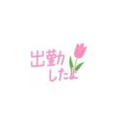 ヒメ日記 2026/08/01 10:05 投稿 すみれ 横浜おかあさん