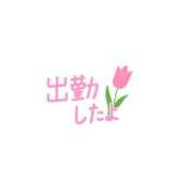 ヒメ日記 2026/09/05 10:15 投稿 すみれ 横浜おかあさん